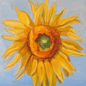 Day 22. "Sunflower" by Beverly Shipko, Oil painting on cradled panel, 6 x 6 inches